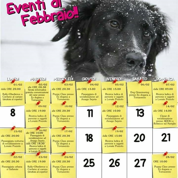 Eventi Febbraio 2016