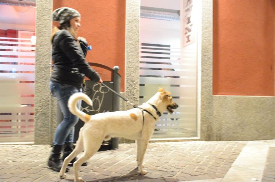 PASSEGGIATA IN CITTA’