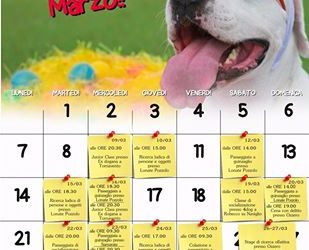 Eventi Marzo 2016